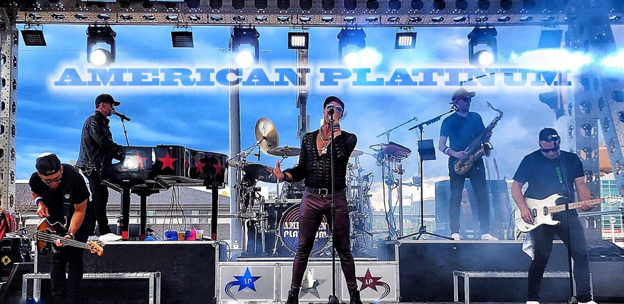 AMERICAN PLATINUM