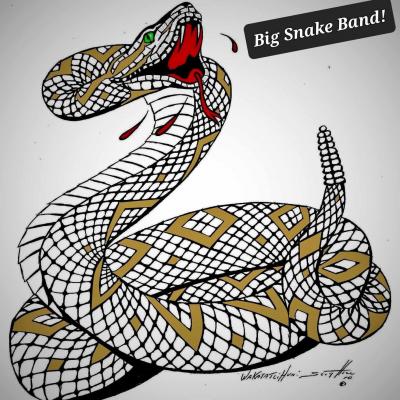 BIG SNAKE BAND