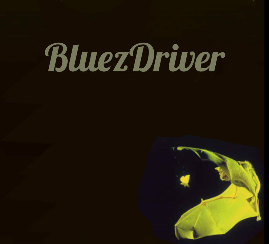 BLUEZDRIVER